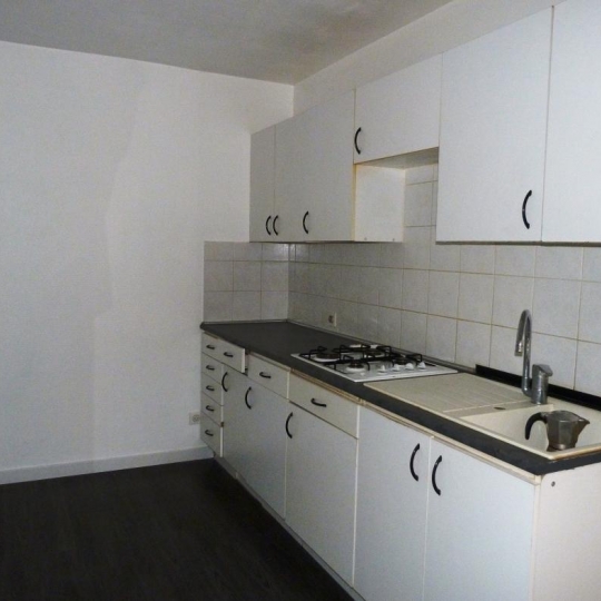  FRANCHEVILLE IMMOBILIER : Apartment | LA MULATIERE (69350) | 50 m2 | 545 € 