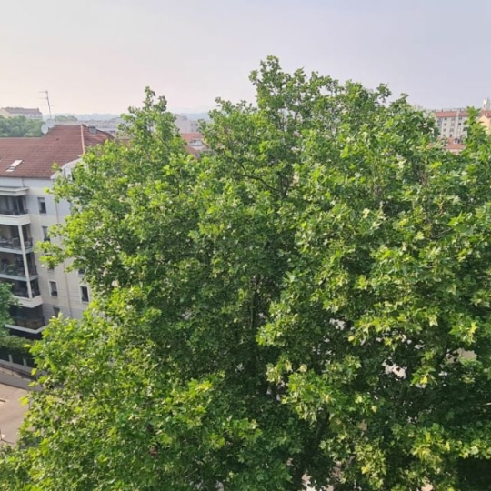  FRANCHEVILLE IMMOBILIER : Appartement | LYON (69006) | 30 m2 | 760 &euro; 