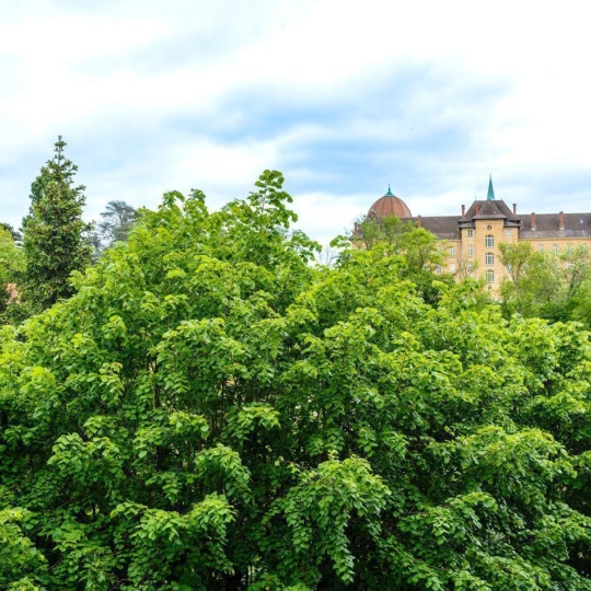 FRANCHEVILLE IMMOBILIER : Appartement | SAINTE-FOY-LES-LYON (69110) | 80.00m2 | 299 000 € FRANCHEVILLE IMMOBILIER : Appartement | SAINTE-FOY-LES-LYON (69110) | 80.00m2 | 299 000 €
