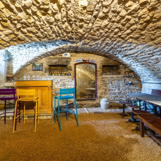  FRANCHEVILLE IMMOBILIER : House | SAINT-DIDIER-AU-MONT-D'OR (69370) | 154 m2 | 1 092 000 &euro; 