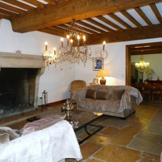  FRANCHEVILLE IMMOBILIER : Domaines / Propriétés | CHAPONOST (69630) | 300 m2 | 1 050 000 &euro; 