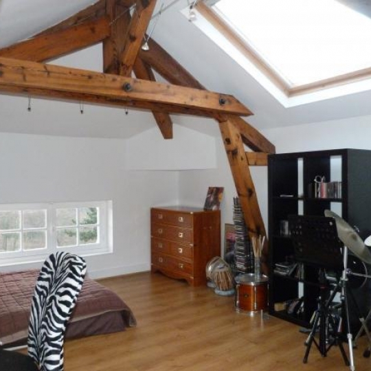  FRANCHEVILLE IMMOBILIER : Domaines / Propriétés | CHAPONOST (69630) | 300 m2 | 1 050 000 &euro; 