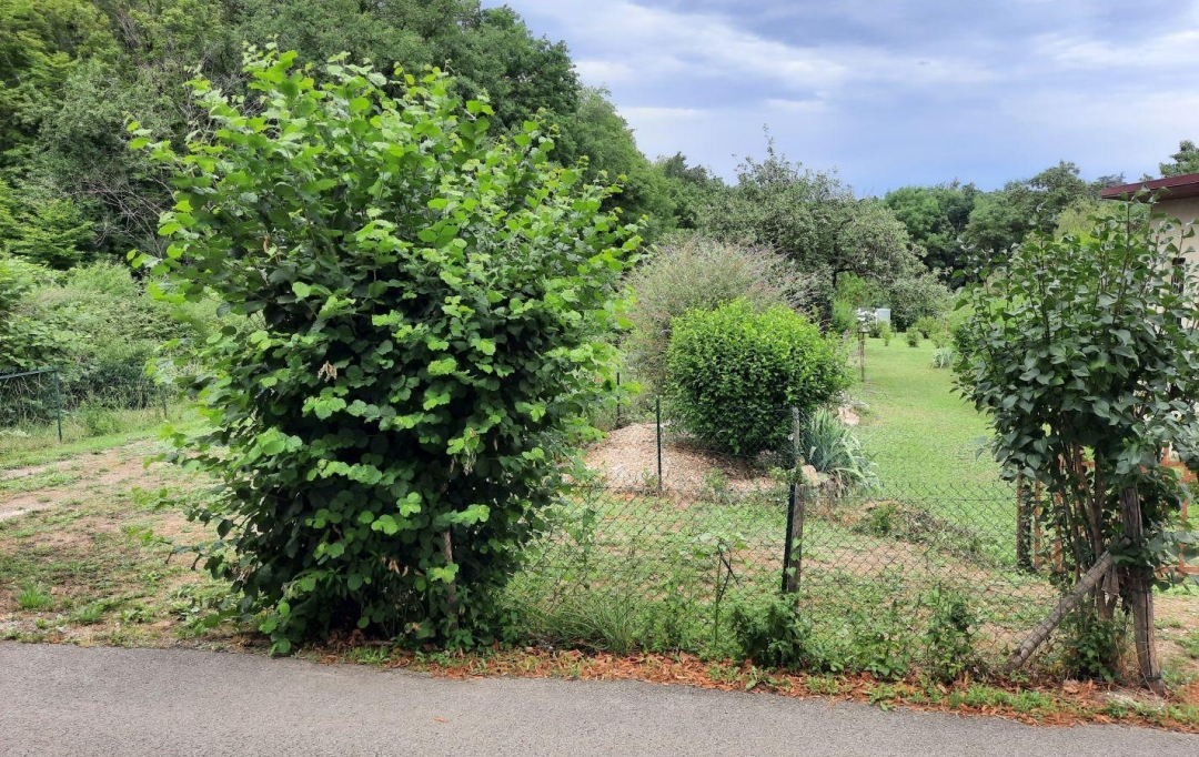 FRANCHEVILLE IMMOBILIER : Apartment | CHAPONOST (69630) | 64 m2 | 830 € 