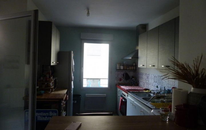 FRANCHEVILLE IMMOBILIER : Appartement | VILLEURBANNE (69100) | 60 m2 | 241 000 € 