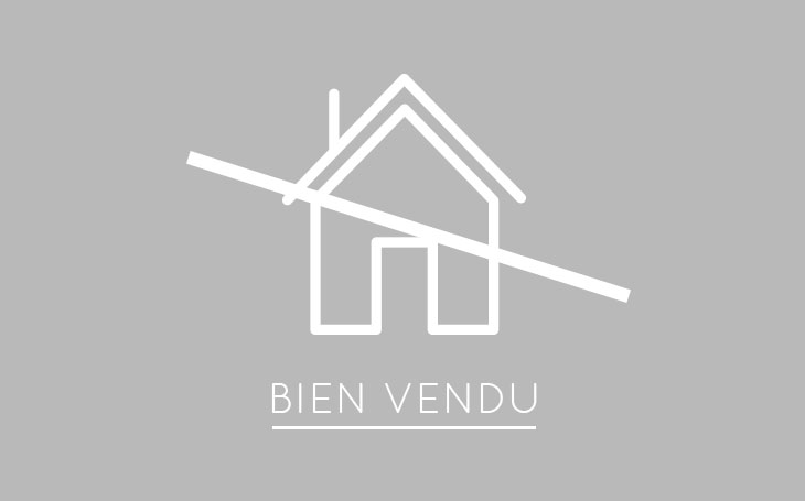 FRANCHEVILLE IMMOBILIER : Building | VIENNE (38200) | 243 m2  